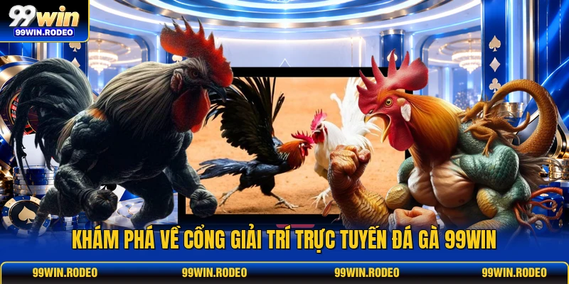 Khám phá về cổng giải trí trực tuyến đá gà 99WIN Khám phá về cổng giải trí trực tuyến đá gà 99WIN